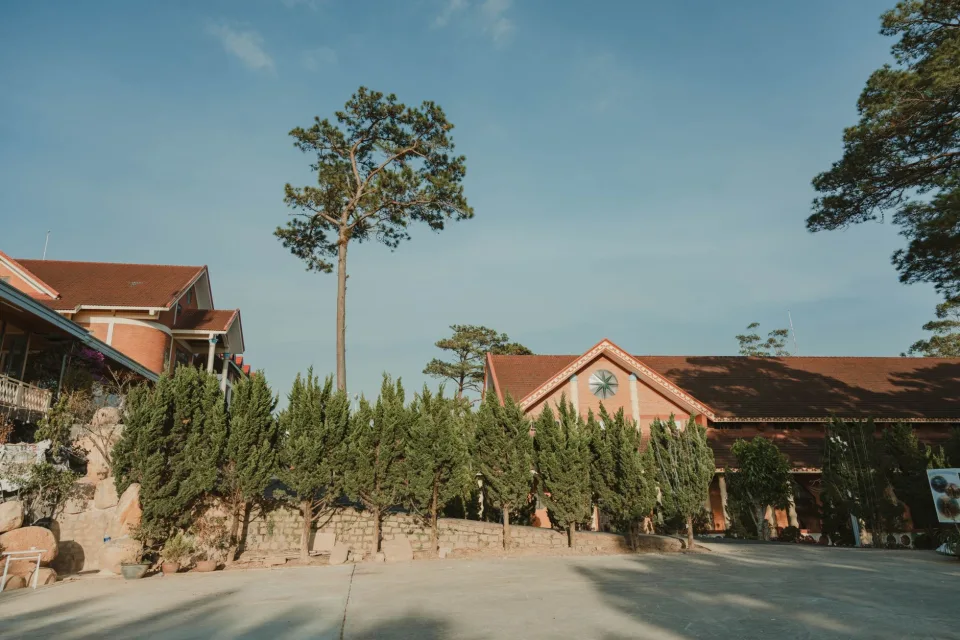 Hình ảnh tại Trần Tiến Vĩnh 4
